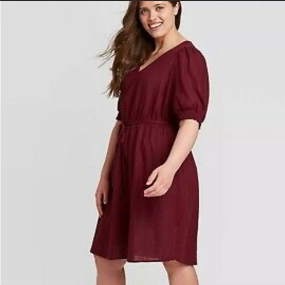 Cabernet Red Dress NEW 4X